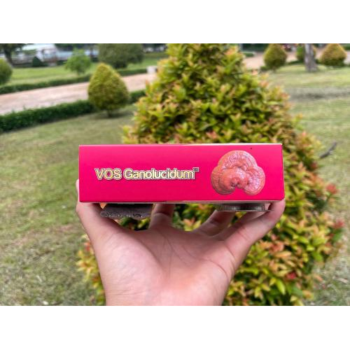 VOS GANOLUCIDUM - GANODERMA LUCIDUM FC - DOMESCO